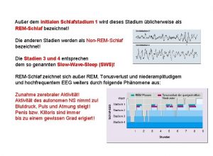 Auer dem initialen Schlafstadium 1 wird dieses Stadium