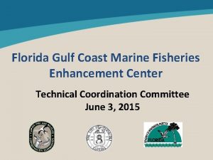 Florida Gulf Coast Marine Fisheries Enhancement Center Technical