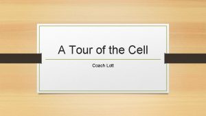 A Tour of the Cell Coach Lott Prokaryotic