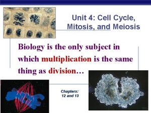 Unit 4 Cell Cycle Mitosis and Meiosis Biology