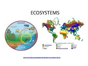 ECOSYSTEMS http www kidsgeo comgeographyforkids0156 cyclesbalancelife php Cycles