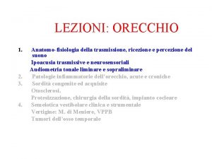 LEZIONI ORECCHIO 1 2 3 4 Anatomofisiologia della