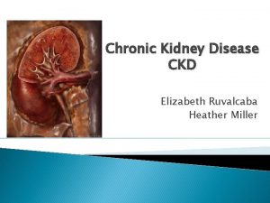 Chronic Kidney Disease CKD Elizabeth Ruvalcaba Heather Miller