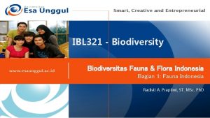 IBL 321 Biodiversity Biodiversitas Fauna Flora Indonesia Bagian