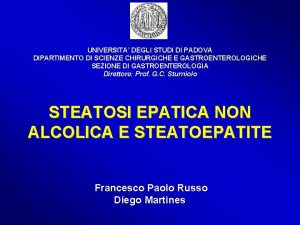 UNIVERSITA DEGLI STUDI DI PADOVA DIPARTIMENTO DI SCIENZE