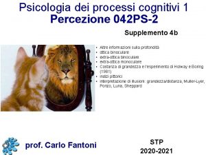 Psicologia dei processi cognitivi 1 Percezione 042 PS2