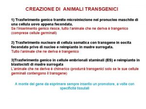 CREAZIONE DI ANIMALI TRANSGENICI 1 Trasferimento genico tramite