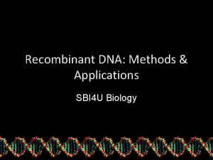 Recombinant DNA Methods Applications SBI 4 U Biology