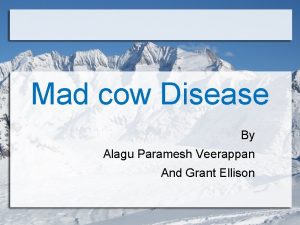 Mad cow Disease By Alagu Paramesh Veerappan And