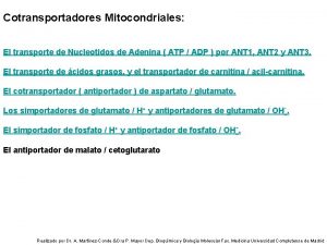 Cotransportadores Mitocondriales El transporte de Nucleotidos de Adenina