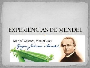 EXPERINCIAS DE MENDEL Primeira L ei de Mendel