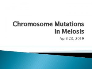 Chromosome Mutations in Meiosis April 23 2019 Mutations