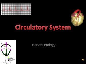 Circulatory System Honors Biology Circulatory System Heart Blood