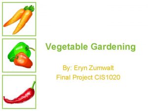 Vegetable Gardening By Eryn Zumwalt Final Project CIS