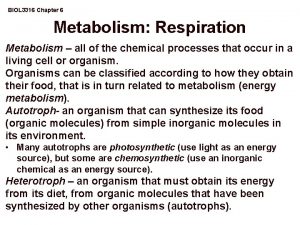 BIOL 3316 Chapter 6 Metabolism Respiration Metabolism all