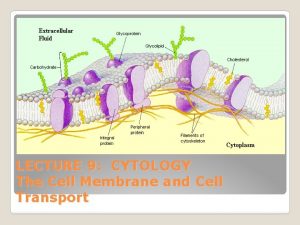 LECTURE 9 CYTOLOGY The Cell Membrane and Cell