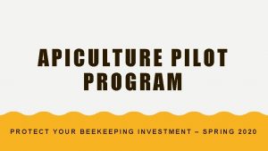 APICULTURE PILOT PROGRAM PROTECT YOUR BEEKEEPING INVESTMENT SPRING