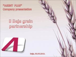 II Baja grain partnership Baja 09 06 2010