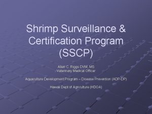 Shrimp Surveillance Certification Program SSCP Allen C Riggs