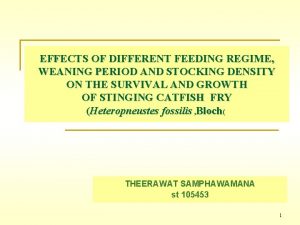 EFFECTS OF DIFFERENT FEEDING REGIME WEANING PERIOD AND