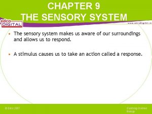 CHAPTER 9 THE SENSORY SYSTEM The sensory system