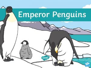 Emperor Penguins Penguins are birds but they cannot