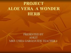 PROJECT ALOE VERA A WONDER HERB PRESENTED BY