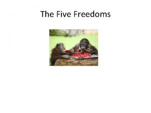 The Five Freedoms Objectives Be able to list