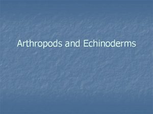 Arthropods and Echinoderms Crustaceans n Bilateral Symmetry n