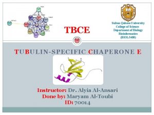 TBCE Sultan Qaboos University College of Science Department