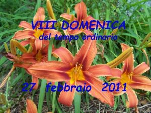 VIII DOMENICA del tempo ordinario 27 febbraio 2011