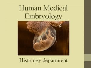 Human Medical Embryology Histology department The discipline Human