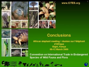 www CITES org 1 Conclusions African elephant meeting