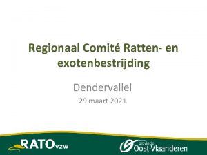 Regionaal Comit Ratten en exotenbestrijding Dendervallei 29 maart