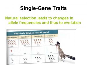 SingleGene Traits Natural selection leads to changes in