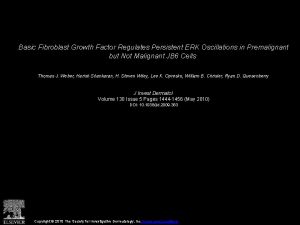 Basic Fibroblast Growth Factor Regulates Persistent ERK Oscillations