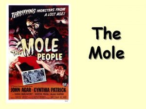 The Mole The Mole 1 dozen 12 1