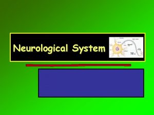 Neurological System Symptom Overview Headache Dizziness and vertigo