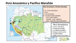 Per Amaznico y Pacifico Maran Saramiriza Iquitos Bagua