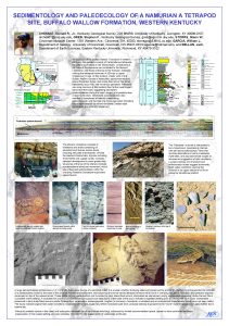 SEDIMENTOLOGY AND PALEOECOLOGY OF A NAMURIAN A TETRAPOD