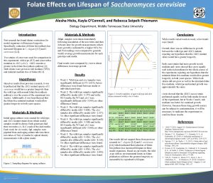 Folate Effects on Lifespan of Saccharomyces cerevisiae Alesha