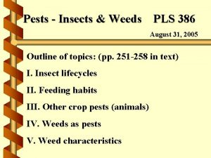 Pests Insects Weeds PLS 386 August 31 2005