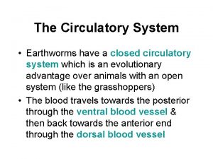 The Circulatory System Earthworms have a closed circulatory