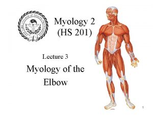 Myology 2 HS 201 Lecture 3 Myology of