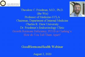 Theodore C Friedman M D Ph D the