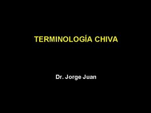 TERMINOLOGA CHIVA Dr Jorge Juan TERMINOLOGA CHIVA Historia