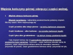 Minie koczyny grnej obrczy i czci wolnej I