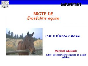 BROTE DE Encefalitis equina SALUD PBLICA Y ANIMAL