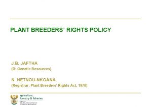 PLANT BREEDERS RIGHTS POLICY J B JAFTHA D