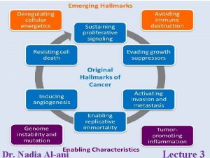 Hallmarks of cancer Dr Nadia Alani Lecture 3